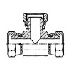ডিবি